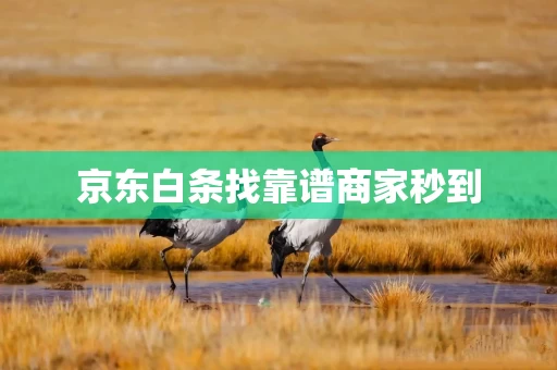 京东白条找靠谱商家秒到