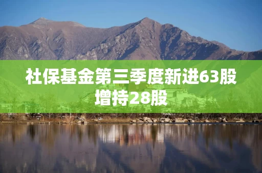 社保基金第三季度新进63股增持28股