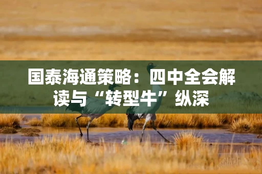 国泰海通策略:四中全会解读与“转型牛”纵深