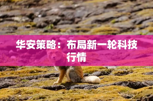 华安策略:布局新一轮科技行情