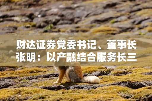 财达证券党委书记、董事长张明:以产融结合服务长三角一体化 三大维度打造差异化竞争优势