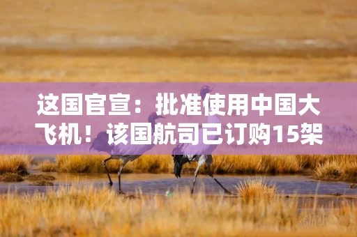这国官宣:批准使用中国大飞机!该国航司已订购15架C919和15架C909