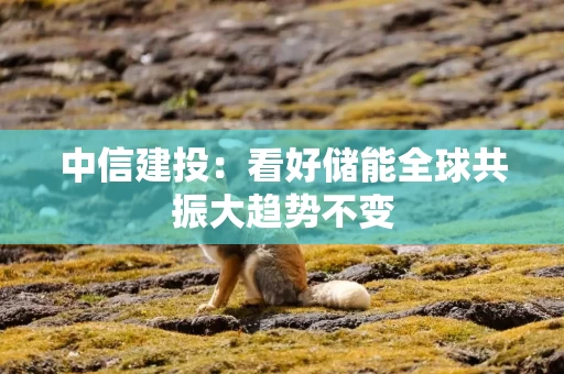 中信建投:看好储能全球共振大趋势不变
