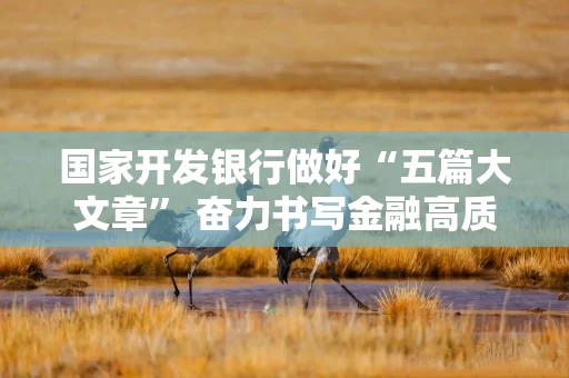 国家开发银行做好“五篇大文章” 奋力书写金融高质量发展新篇章
