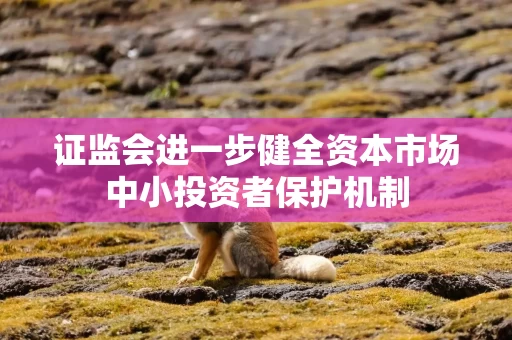 证监会进一步健全资本市场中小投资者保护机制