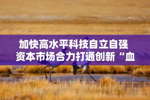 加快高水平科技自立自强 资本市场合力打通创新“血脉”