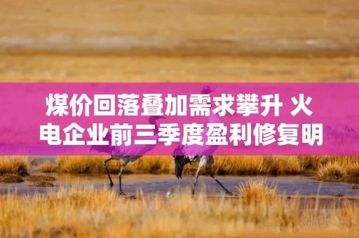 煤价回落叠加需求攀升 火电企业前三季度盈利修复明显