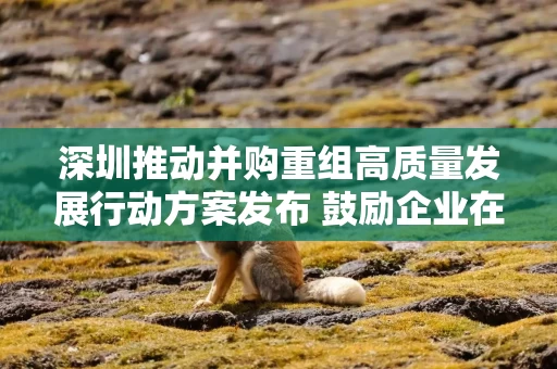 深圳推动并购重组高质量发展行动方案发布 鼓励企业在未来产业赛道开展并购重组