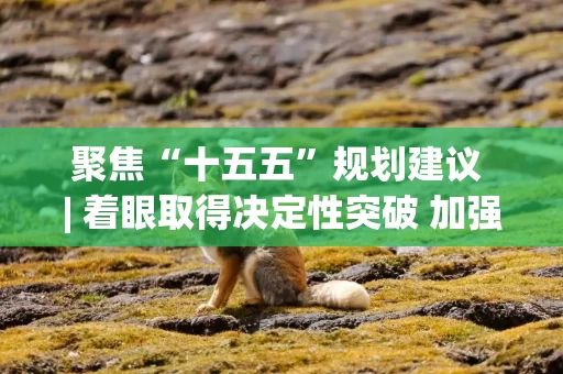 聚焦“十五五”规划建议 | 着眼取得决定性突破 加强重点领域关键核心技术攻关