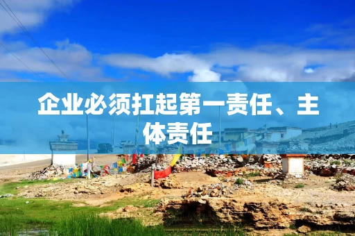 企业必须扛起第一责任、主体责任