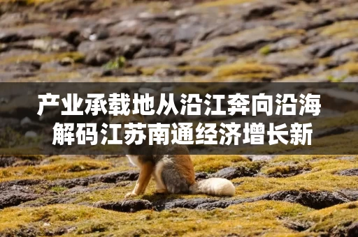 产业承载地从沿江奔向沿海 解码江苏南通经济增长新动能