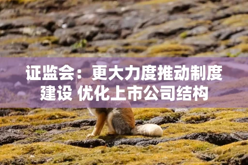 证监会:更大力度推动制度建设 优化上市公司结构