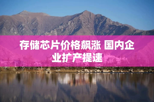 存储芯片价格飙涨 国内企业扩产提速