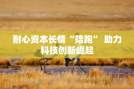 耐心资本长情“陪跑” 助力科技创新崛起