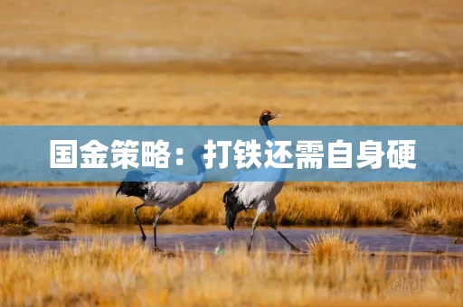 国金策略:打铁还需自身硬