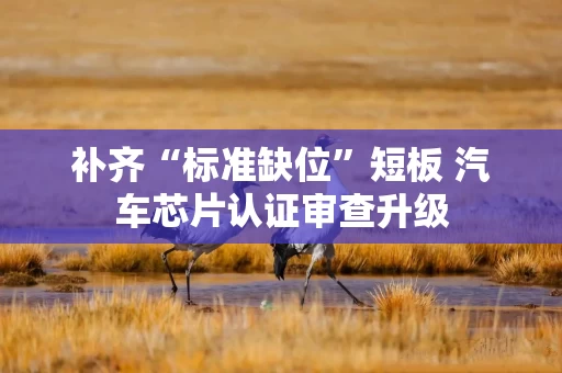 补齐“标准缺位”短板 汽车芯片认证审查升级