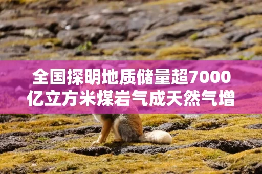 全国探明地质储量超7000亿立方米煤岩气成天然气增长新亮点