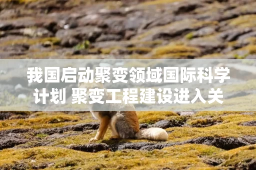 我国启动聚变领域国际科学计划 聚变工程建设进入关键期