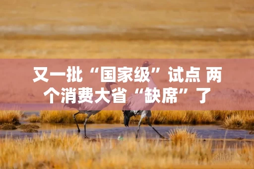 又一批“国家级”试点 两个消费大省“缺席”了