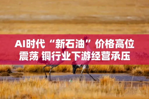 AI时代“新石油”价格高位震荡 铜行业下游经营承压