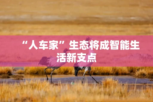 “人车家”生态将成智能生活新支点