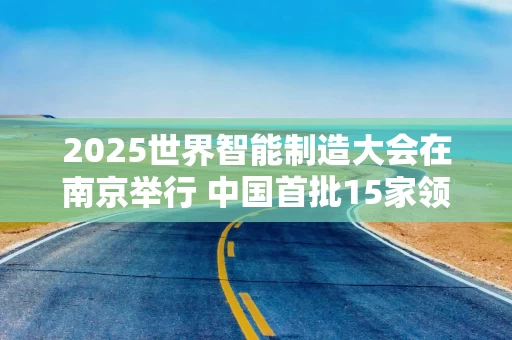 2025世界智能制造大会在南京举行 中国首批15家领航级智能工厂名单公布