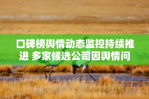 口碑榜舆情动态监控持续推进 多家候选公司因舆情问题被亮“红牌”