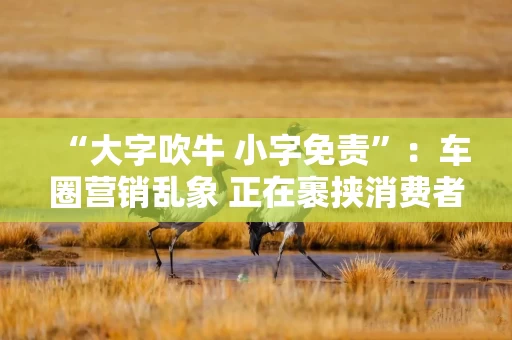 “大字吹牛 小字免责”:车圈营销乱象 正在裹挟消费者