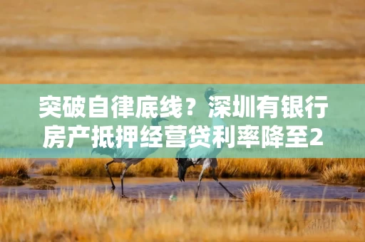 突破自律底线?深圳有银行房产抵押经营贷利率降至2.22%,限一年期每年续贷