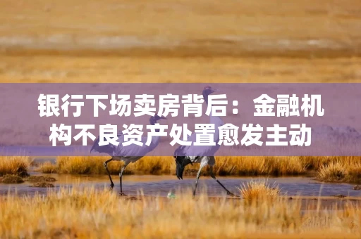 银行下场卖房背后:金融机构不良资产处置愈发主动