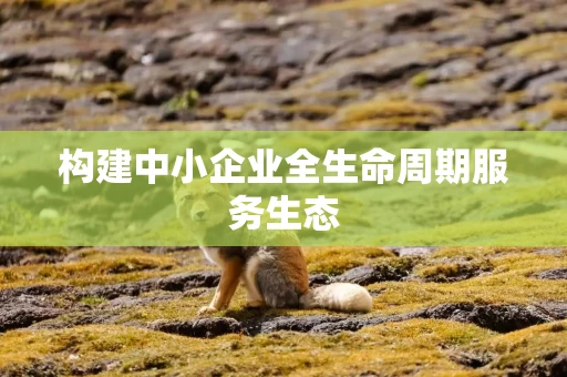 构建中小企业全生命周期服务生态