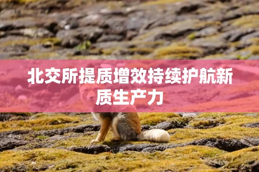 北交所提质增效持续护航新质生产力