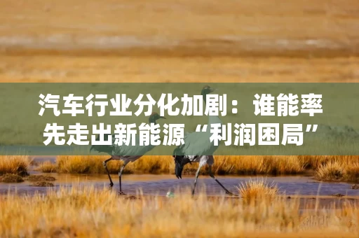汽车行业分化加剧:谁能率先走出新能源“利润困局”?