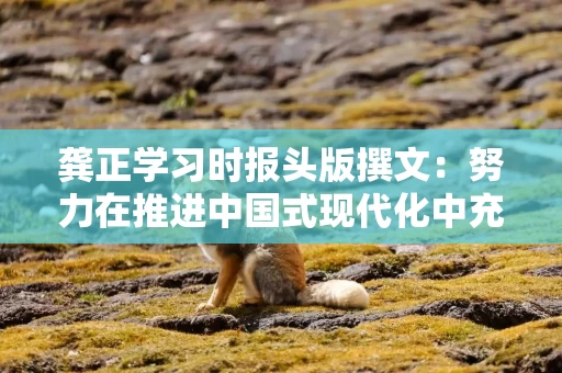 龚正学习时报头版撰文:努力在推进中国式现代化中充分发挥龙头带动和示范引领作用