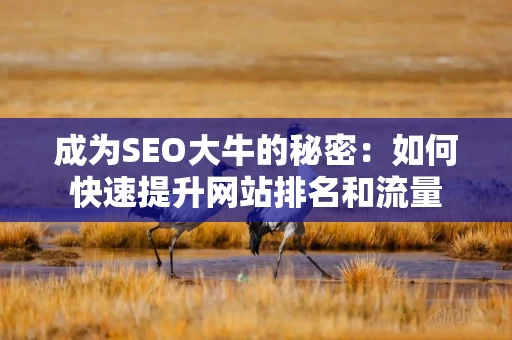 成为SEO大牛的秘密：如何快速提升网站排名和流量