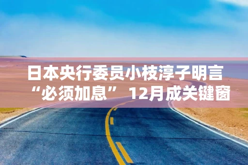 日本央行委员小枝淳子明言“必须加息” 12月成关键窗口期