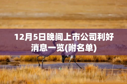 12月5日晚间上市公司利好消息一览(附名单)