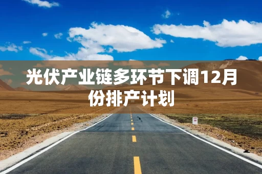 光伏产业链多环节下调12月份排产计划