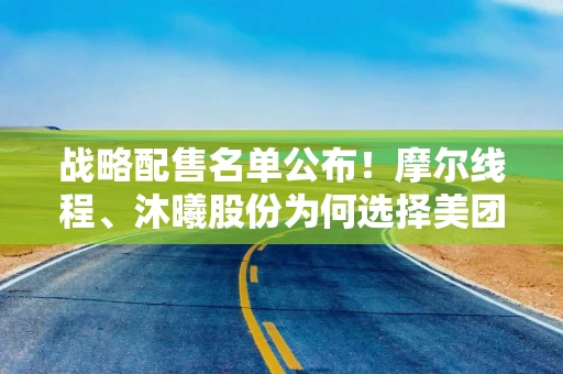 战略配售名单公布！摩尔线程、沐曦股份为何选择美团、京东等平台公司？