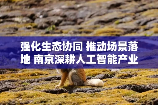 强化生态协同 推动场景落地 南京深耕人工智能产业