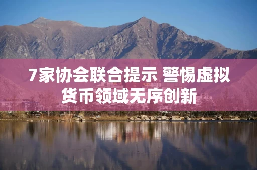 7家协会联合提示 警惕虚拟货币领域无序创新