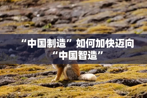 详细阅读:“中国制造”如何加快迈向“中国智造” “中国制造”如何加快迈向“中国智造”