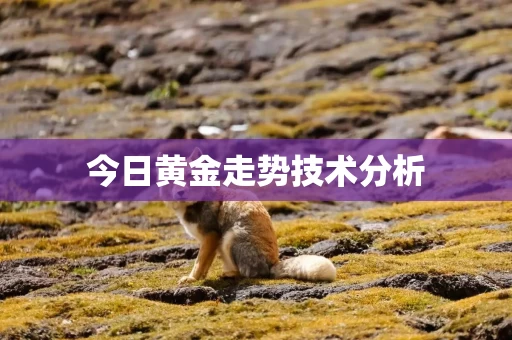 今日黄金走势技术分析