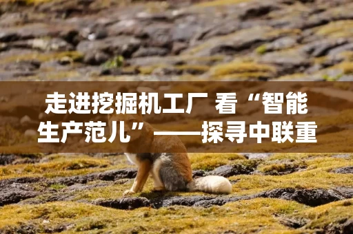 详细阅读:走进挖掘机工厂 看“智能生产范儿”——探寻中联重科“共享智造”之道 走进挖掘机工厂 看“智能生产范儿”——探寻中联重科“共享智造”之道