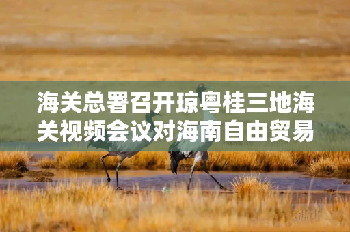 详细阅读:海关总署召开琼粤桂三地海关视频会议对海南自由贸易港封关运作再动员再部署 海关总署召开琼粤桂三地海关视频会议对海南自由贸易港封关运作再动员再部署