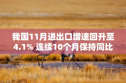 我国11月进出口增速回升至4.1% 连续10个月保持同比增长 外贸韧性进一步得到验证