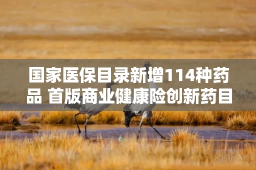详细阅读:国家医保目录新增114种药品 首版商业健康险创新药目录同步发布 国家医保目录新增114种药品 首版商业健康险创新药目录同步发布
