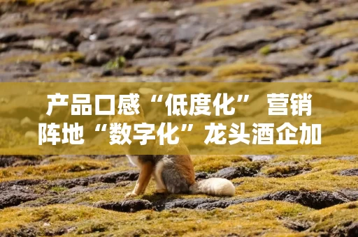 详细阅读:产品口感“低度化” 营销阵地“数字化”龙头酒企加速“年轻化”战略转型 产品口感“低度化” 营销阵地“数字化”龙头酒企加速“年轻化”战略转型