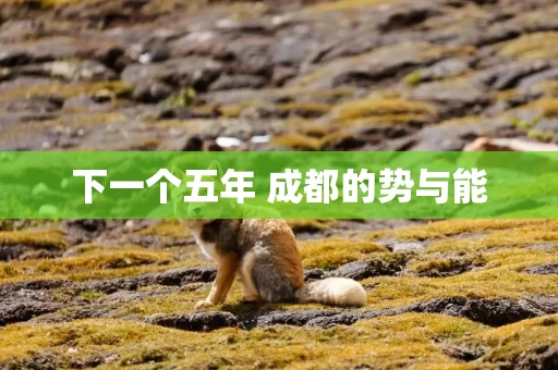 下一个五年 成都的势与能