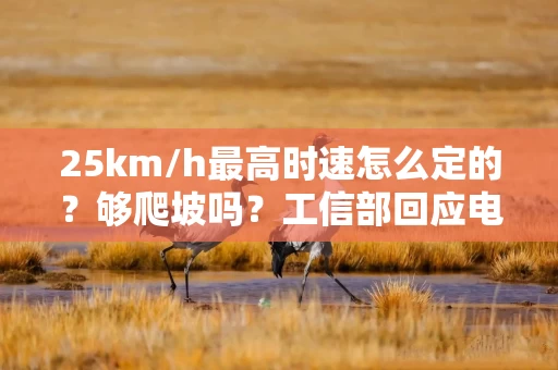 25km/h最高时速怎么定的?够爬坡吗?工信部回应电动车新国标热点问题
